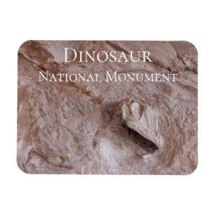 Camarasaurus-schedel en skelet, dinosaurus, Utah Magneet
