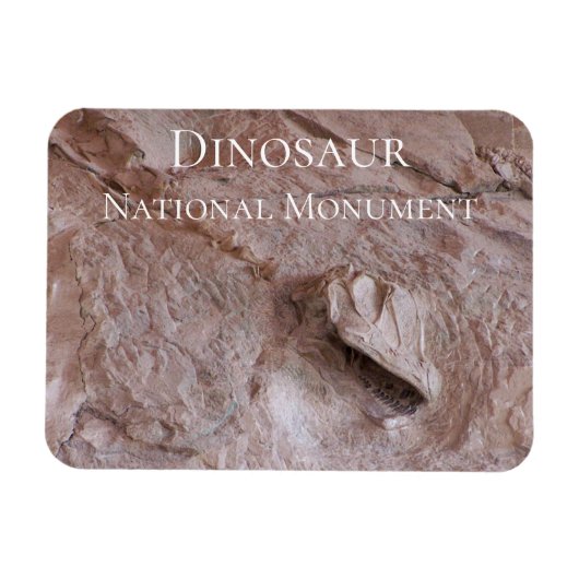 Camarasaurus-schedel en skelet, dinosaurus, Utah Magneet (Horizontaal)