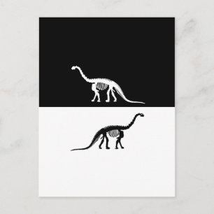 camarasaurus skelet briefkaart
