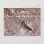 Camarasaurus Skull, Skeleton, Dinosaur NTL. Park Briefkaart (Voorkant)