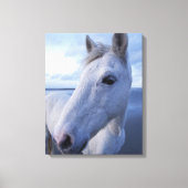 Camargue Horse Canvas Afdruk (Voorkant)