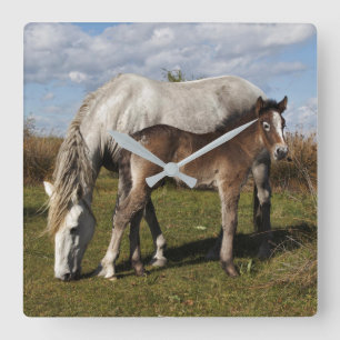 Camargue Horse Foal met moeder Vierkante Klok