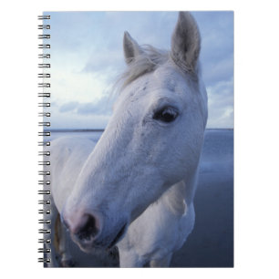 Camargue Horse Notitieboek