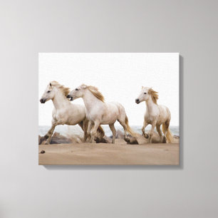Camargue Horses die op het strand lopen Canvas Afdruk