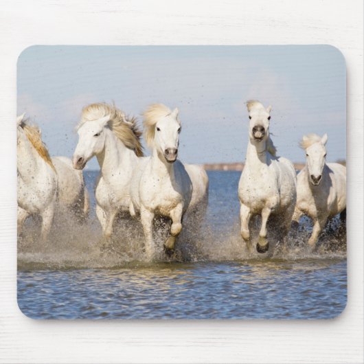 Camargue Horses Muismat (Voorkant)