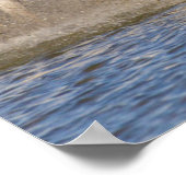 Camargue Horses Poster (Hoek)