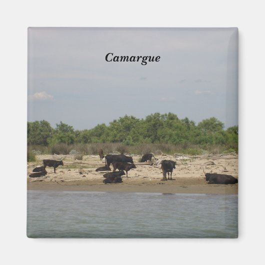 Camargue - magneet (Voorkant)