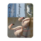 Camargue Magnet Magneet (Verticaal)