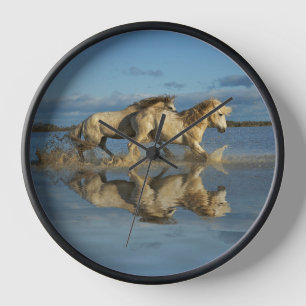 Camargue-paarden en weerspiegeling, Zuid-Frankrijk