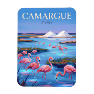 Camargue Regionaal Natuurpark Frankrijk Magneet