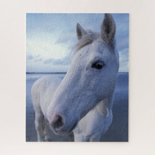 Camarguepaard Legpuzzel