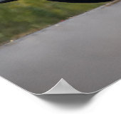 Camaro Poster (Hoek)