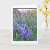 Camas bloesems kaart (Gele Bloem)