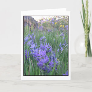 Camas bloesems kaart