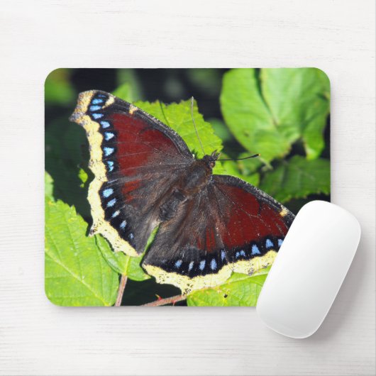 Camberwell Beauty of Mourning Cloak butterfly Muismat (Met muis)