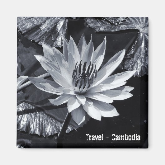 Cambodja - Lotus Flower BW (Fridge Magnet) Magneet (Voorkant)