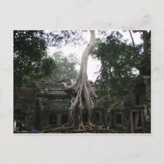Cambodjaanse tempel in het Oerwoud Briefkaart