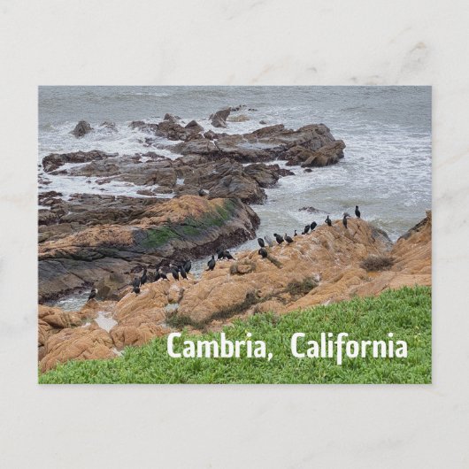 Cambria California Briefkaart (Voorkant)