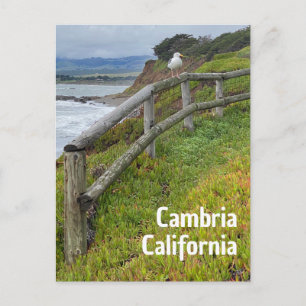 Cambria Californië Briefkaart