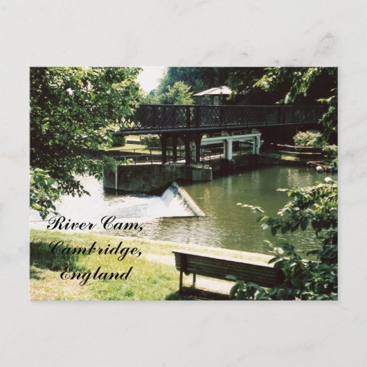 Came de rivière, carte postale de Cambridge (Devant)