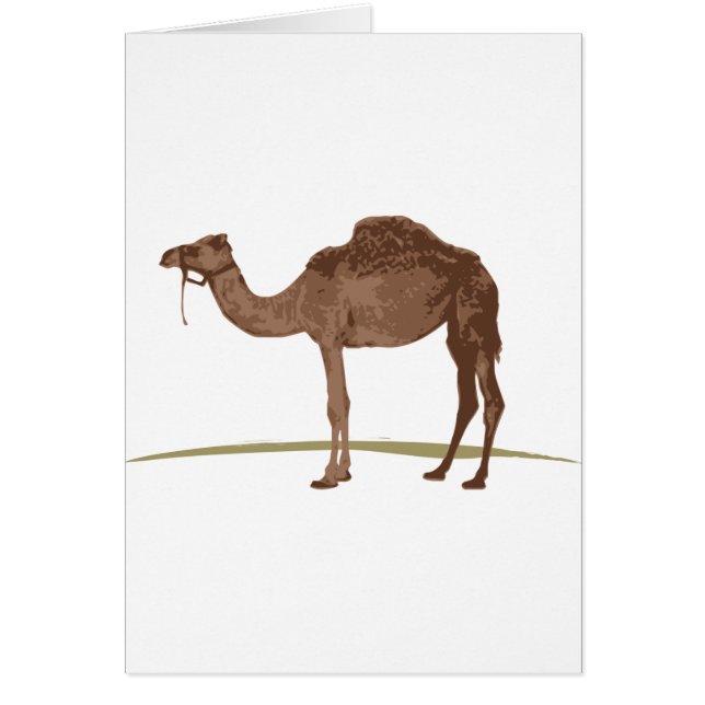 Camel (Voorkant)