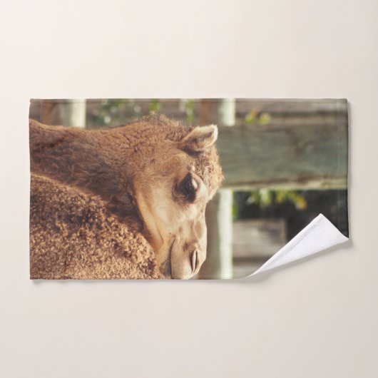 Camel (Serviette à main)