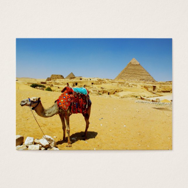 Camel (Devant)