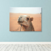 Camel à l'expression amusante - photo sur toile (Insitu (Plancher de Bois))