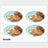 Camel Animal Portrait Foto Ovale Sticker (Vel)