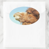 Camel Animal Portrait Foto Ovale Sticker (Tas)