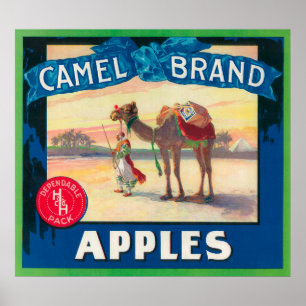 Camel Apple Label - staat Washington Poster