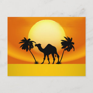 Camel at Sunset Briefkaart