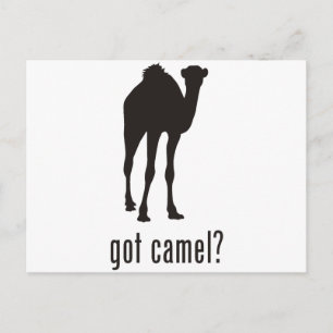 Camel Briefkaart