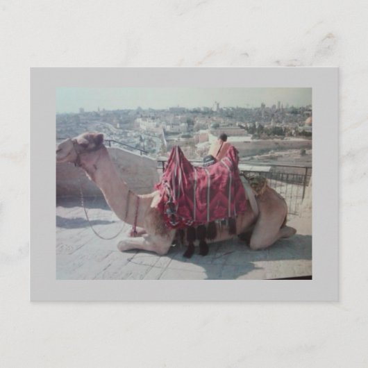 CAMEL BRIEFKAART (Voorkant)