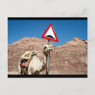 camel bult grens briefkaart