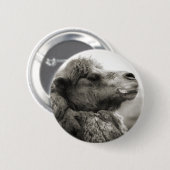Camel Button (Voorkant /achterkant)