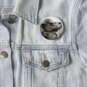 Camel Button (In situ)