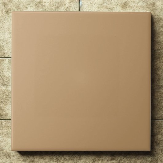Camel #c19a6b – Soft, Mellow, Sand-Toned Elegance Tegeltje