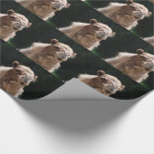 Camel Cadeaupapier (Hoek)