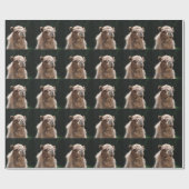 Camel Cadeaupapier (Vlak)