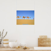 Camel caravan, Thar Desert, India Poster (Keuken)
