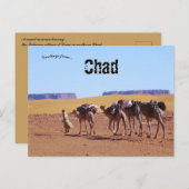 Camel Caravan verlaat het dorp Demi in Tsjaad Briefkaart (Voorkant / Achterkant)