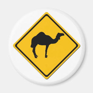 Camel Crossing Magnet Magneet