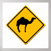 Camel Crossing Poster (Voorkant)