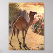 Camel door Louis Sargent, wilde dieren Poster (Voorkant)