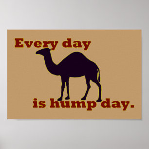 Camel "Elke dag is Hump Day" Poster