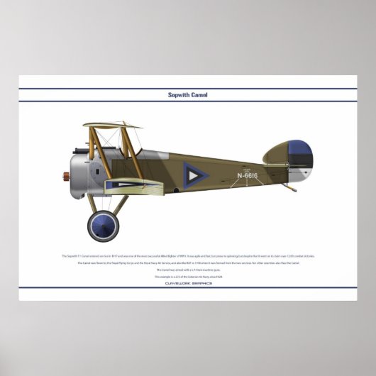 Camel Estland Poster (Voorkant)