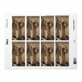 Camel Etiket (Full Sheet)