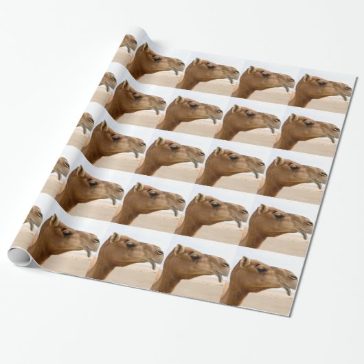 Camel face cadeaupapier (Uitgerold)
