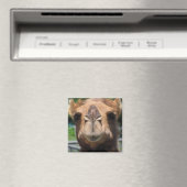 Camel Face Magneet (Insitu (Vaatwasser))